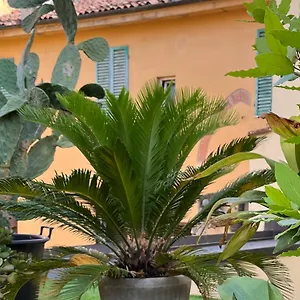 The Jasmine Terrace Retreat Apartment